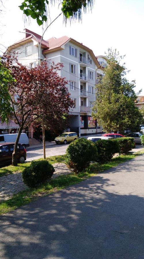 Apartments Domovik Просторная Квартира С Видом На Горы Mukacheve Exterior foto