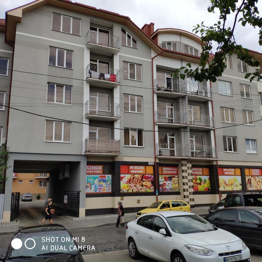Apartments Domovik Просторная Квартира С Видом На Горы Mukacheve Exterior foto